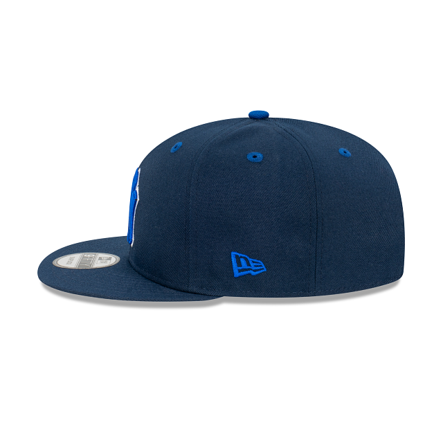 New York Yankees MLB Blueberry - SMART ZONE