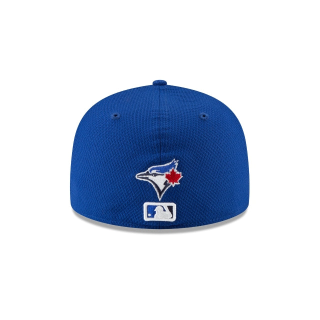 Toronto Blue Jays Diamond - SMART ZONE