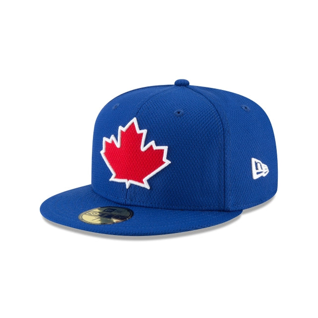 Toronto Blue Jays Diamond - SMART ZONE