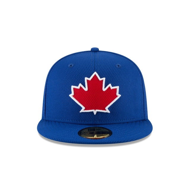 Toronto Blue Jays Diamond - SMART ZONE