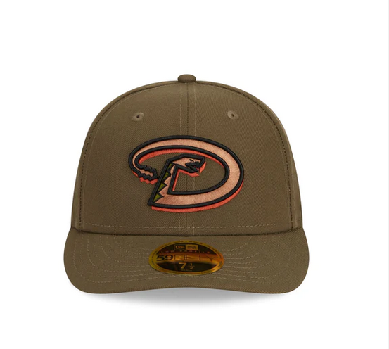 Arizona Rústico Otoño Perfil Bajo 59FIFTY Ajustado - SMART ZONE